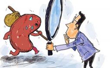 肾虚应当如何调理  肾虚脾虚调理方法大全